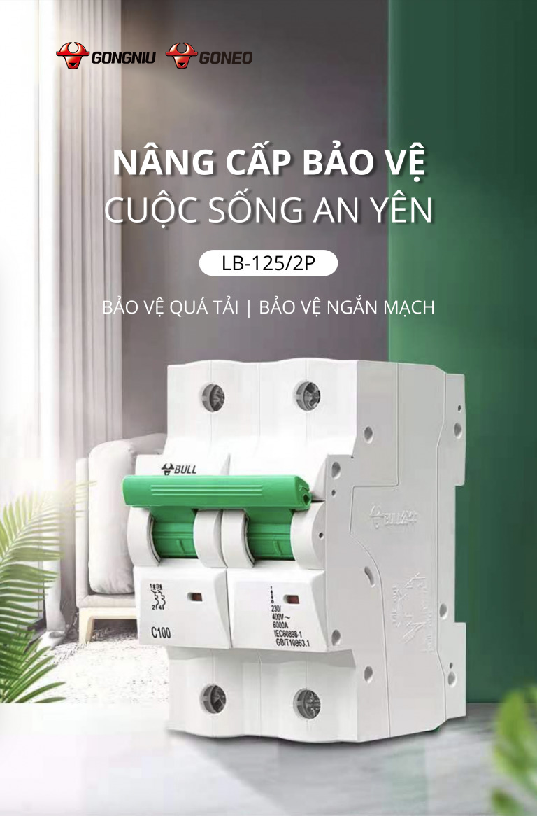 CẦU DAO TỰ ĐỘNG MCB LB-125 1