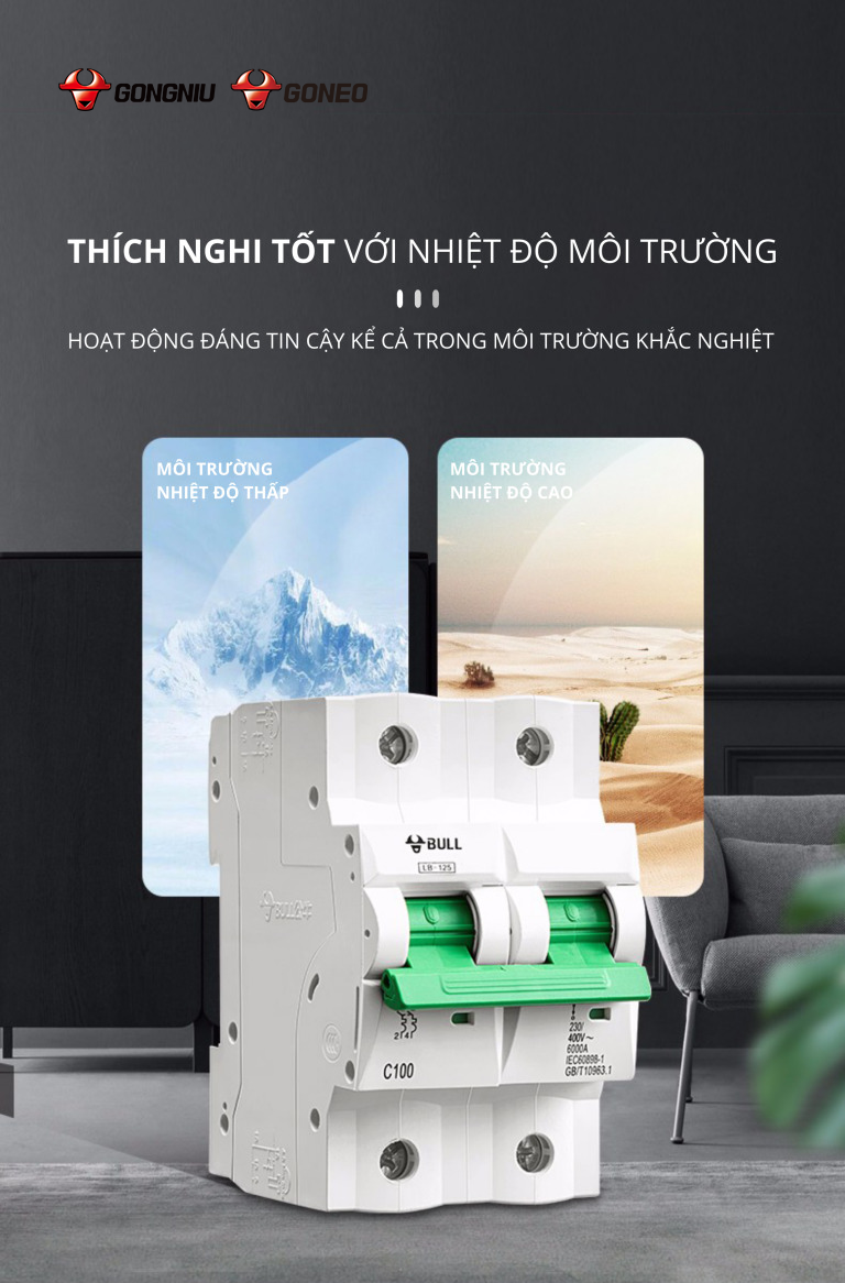 CẦU DAO TỰ ĐỘNG MCB LB-125 4